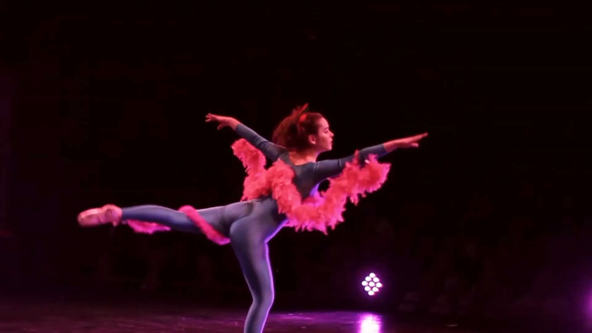 Ballettschule Bad Reichenhall cover